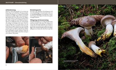 Bok | Svampbok för matälskare: plocka och laga våra godaste matsvampar